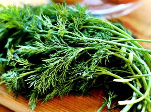 İbn-i Sina'nın 1000 yıl önce hazırladığı reçeteler 21