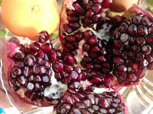 İbn-i Sina'nın 1000 yıl önce hazırladığı reçeteler 10