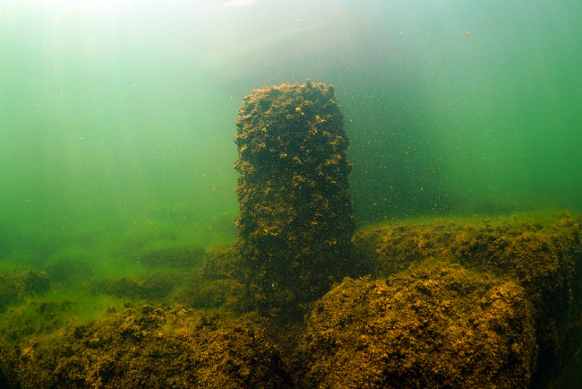 Bafa Gölü'nü hiç böyle görmediniz 3