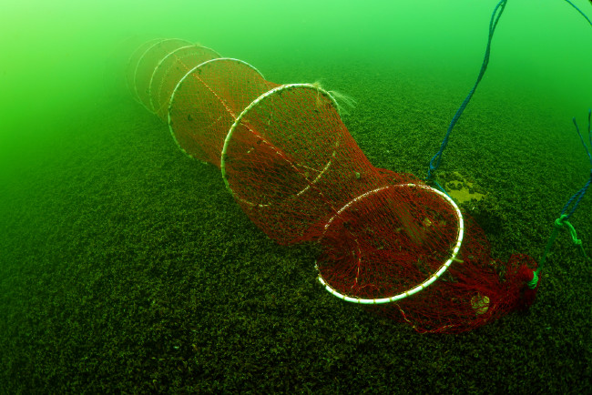 Bafa Gölü'nü hiç böyle görmediniz 4