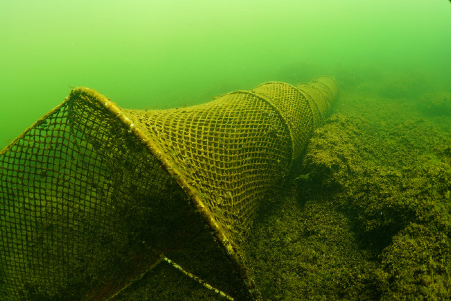 Bafa Gölü'nü hiç böyle görmediniz 6