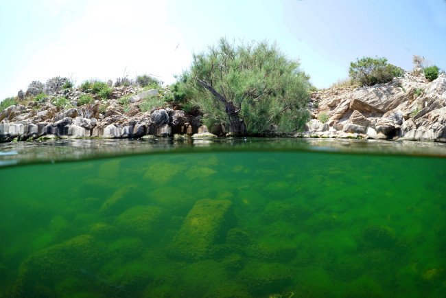 Bafa Gölü'nü hiç böyle görmediniz 8