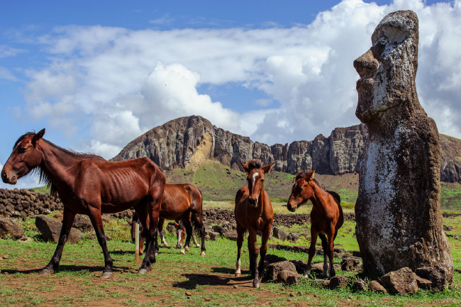Dünyanın en gizemli adasında yatan sır 11