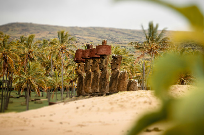 Dünyanın en gizemli adasında yatan sır 12