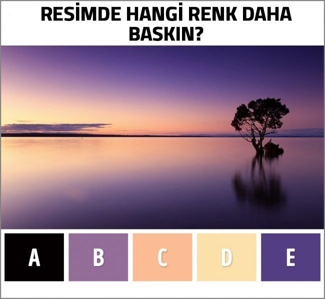 Zihin yaşını ortaya çıkaran renk testi 2