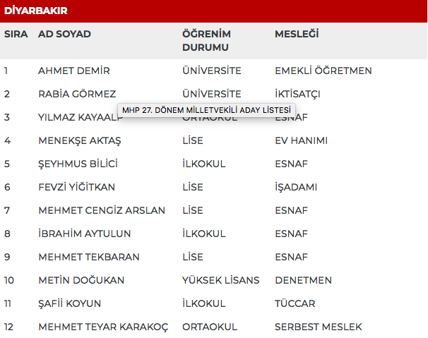 MHP 27. dönem milletvekili adayları | 24 Haziran seçimleri 30