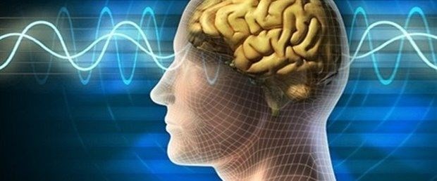 Şampiyon Galatasaray! Kutlamalardan renkli görüntüler 8