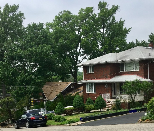 Adil Öksüz’ün eşi ABD’de görüntülendi 10