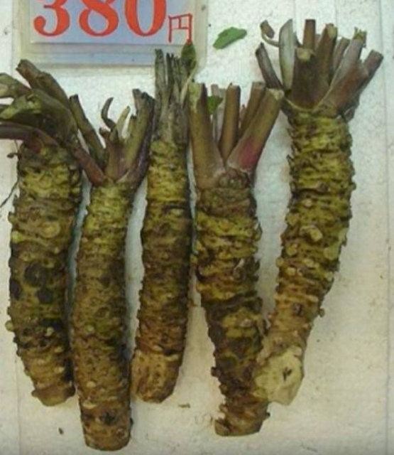 Birbirinden tuhaf meyve ve sebzeler 34