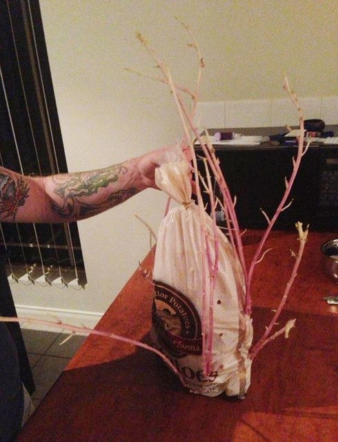 Birbirinden tuhaf meyve ve sebzeler 47