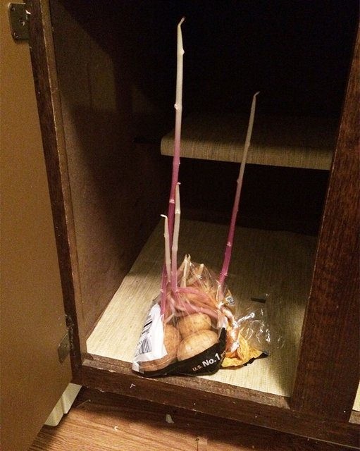 Birbirinden tuhaf meyve ve sebzeler 54