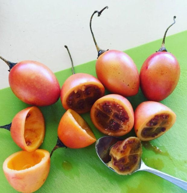 Birbirinden tuhaf meyve ve sebzeler 62