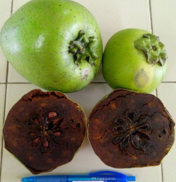 Birbirinden tuhaf meyve ve sebzeler 63