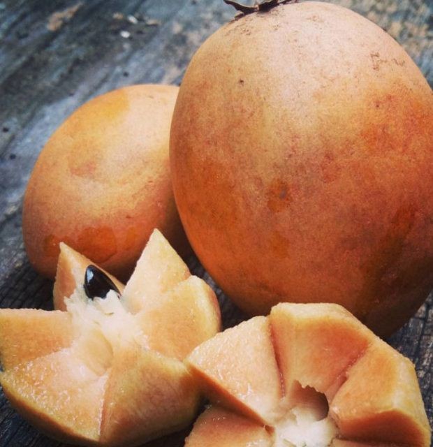 Birbirinden tuhaf meyve ve sebzeler 66