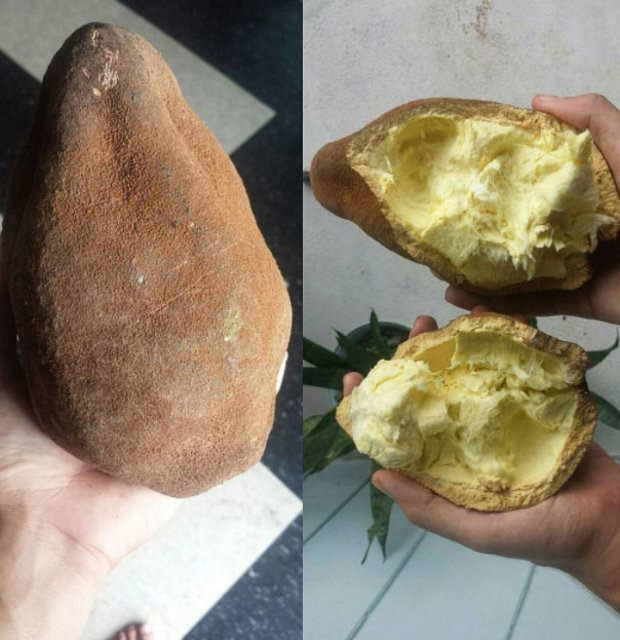 Birbirinden tuhaf meyve ve sebzeler 69