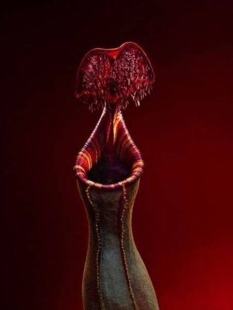 Birbirinden tuhaf meyve ve sebzeler 84