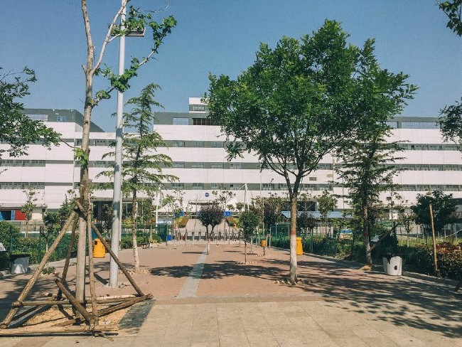 Trump'tan Apple'a iPhone güvencesi 13