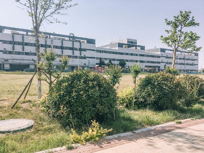 Trump'tan Apple'a iPhone güvencesi 8