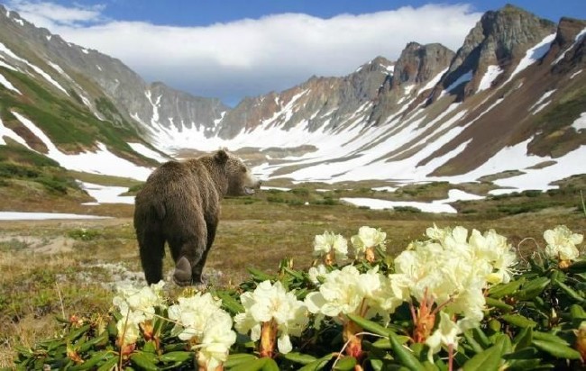 Rusya'da gezilecek en güzel yerler 4