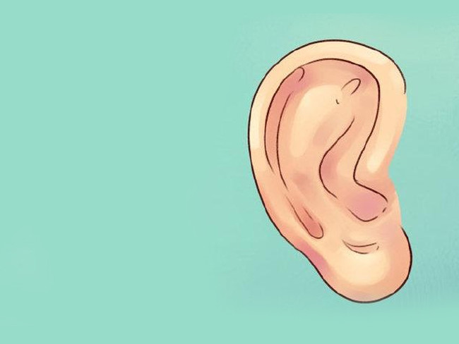 Kulaktaki hangi bölge hangi ağrıyı kesiyor? 1