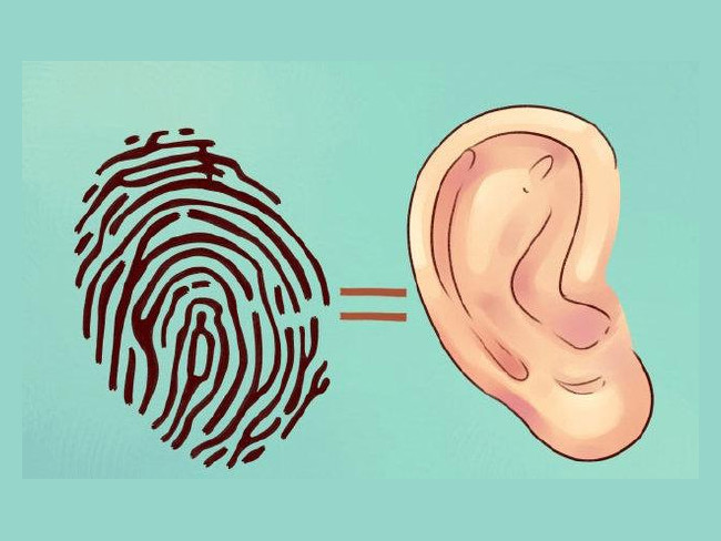 Kulaktaki hangi bölge hangi ağrıyı kesiyor? 5