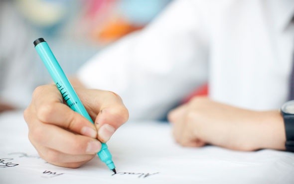 LGS tercih ve yerleştirme kılavuzu yayımlandı 8