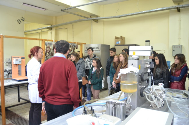 LGS kapsamındaki lise türleri 19