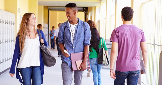 LGS kapsamındaki lise türleri 24