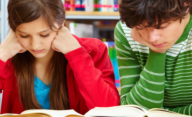 LGS kapsamındaki lise türleri 3