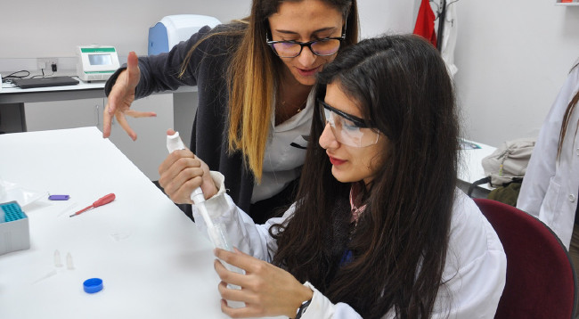 LGS kapsamındaki lise türleri 6