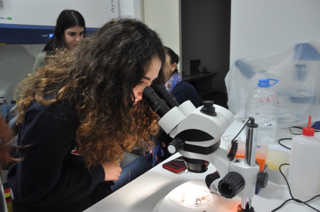 LGS kapsamındaki lise türleri 8