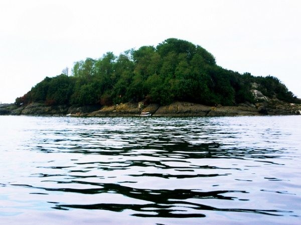 Amazon kadınlarının yaşadığı mitolojik Giresun Adası 12