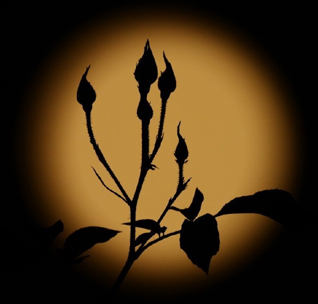 Kanlı Ay Tutulması fotoğrafı nasıl çekilir? 22