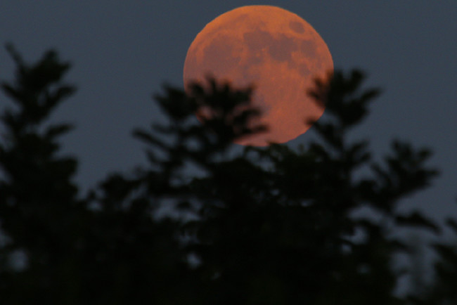 Kanlı Ay Tutulması'ndan nefes kesen kareler 50