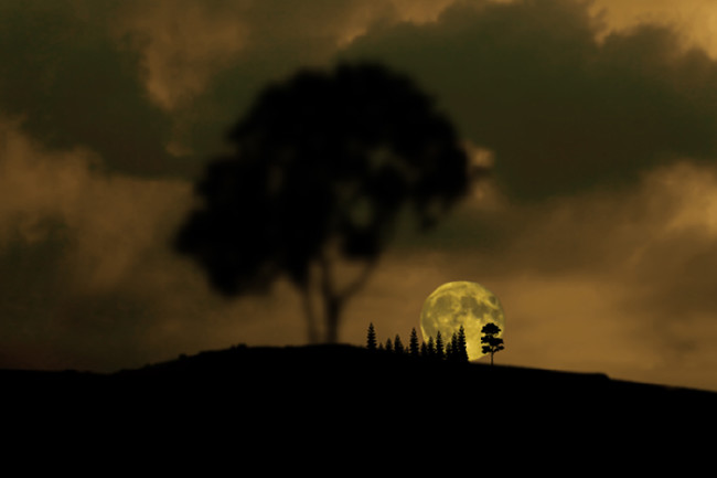 Kanlı Ay Tutulması'ndan nefes kesen kareler 54