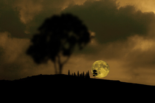 Kanlı Ay Tutulması'ndan nefes kesen kareler 55