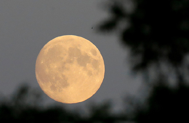Kanlı Ay Tutulması'ndan nefes kesen kareler 65