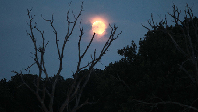 Kanlı Ay Tutulması'ndan nefes kesen kareler 73