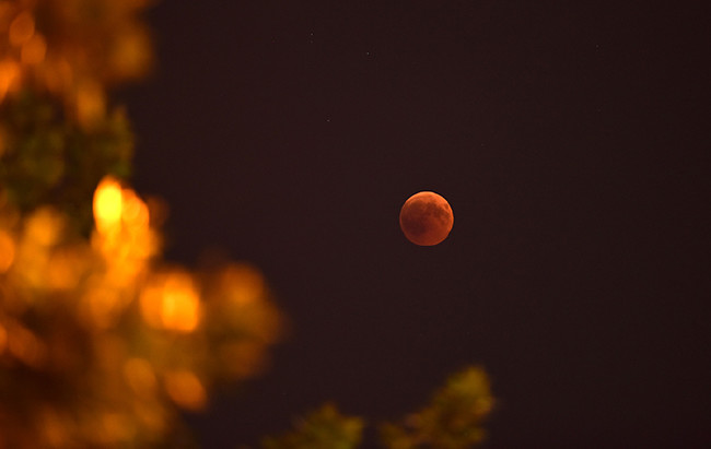 Kanlı Ay Tutulması'ndan nefes kesen kareler 11