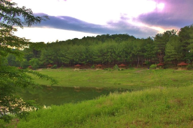 Türkiye'nin Milli Parkları 4