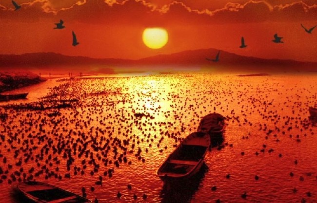 Türkiye'nin Milli Parkları 43