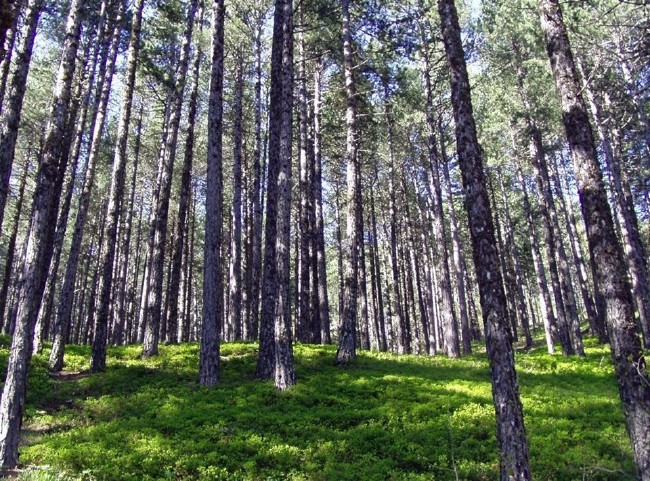 Türkiye'nin Milli Parkları 45