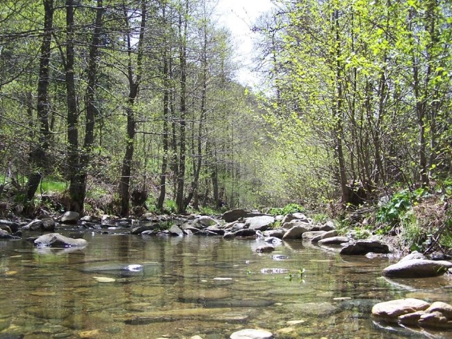 Türkiye'nin Milli Parkları 46