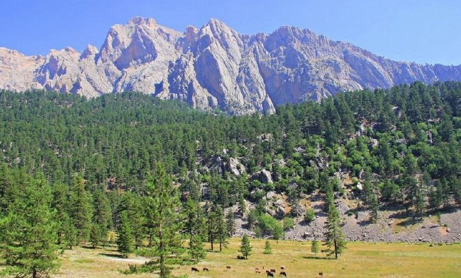 Türkiye'nin Milli Parkları 55