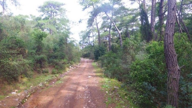 Türkiye'nin Milli Parkları 58