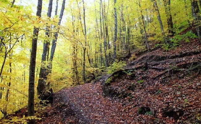 Türkiye'nin Milli Parkları 66