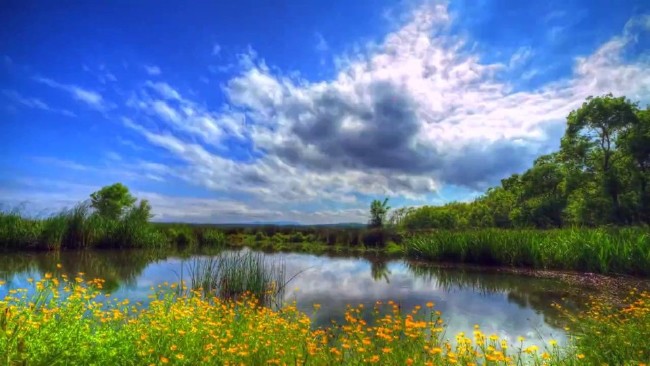 Türkiye'nin Milli Parkları 77