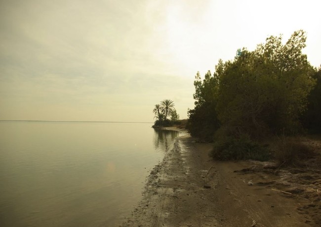 Türkiye'nin Milli Parkları 79
