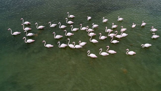 Türkiye'nin Milli Parkları 80