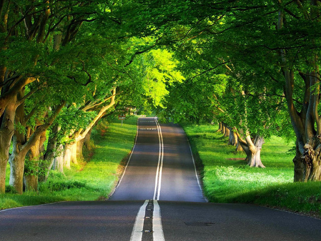 Bayramda İstanbul'da kalanlara öneriler 1